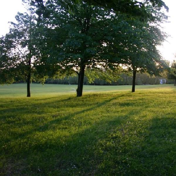 Setting sun behind Primrose Hill