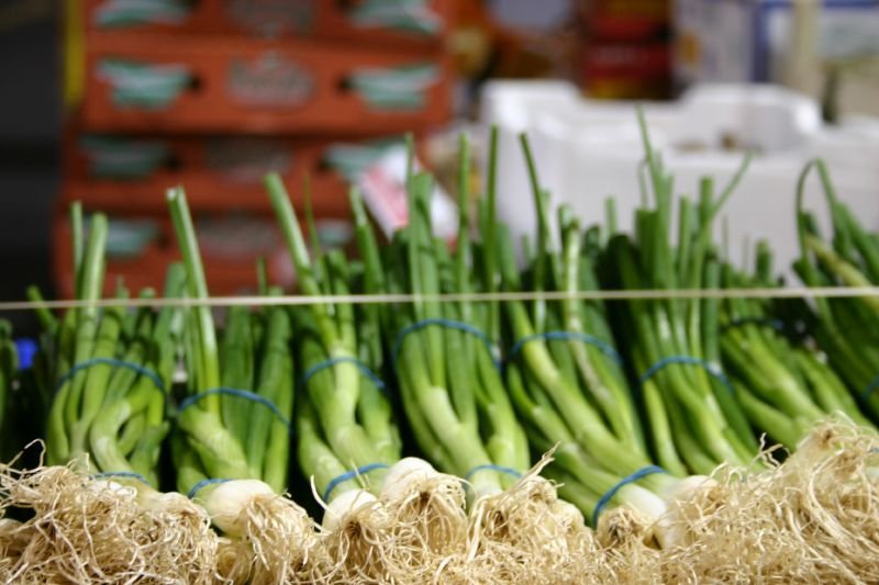 Spring onions