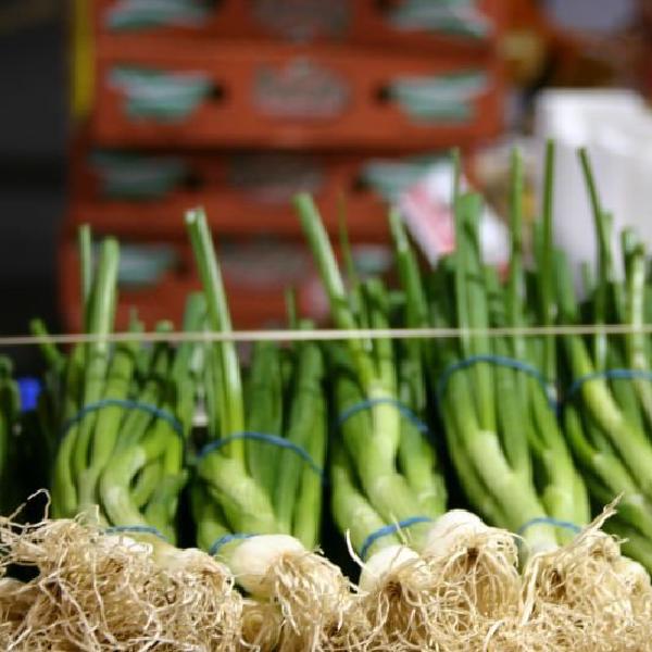 Spring onions