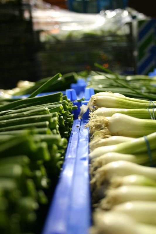 Spring onions