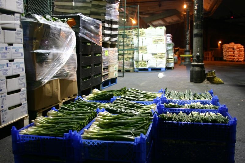 Spring onions