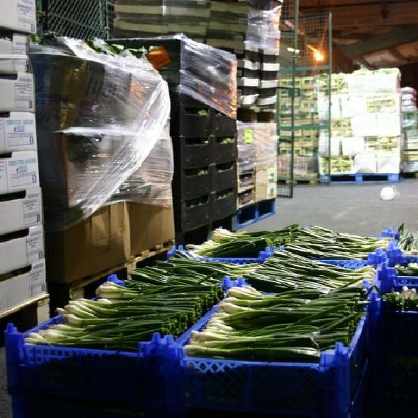Spring onions