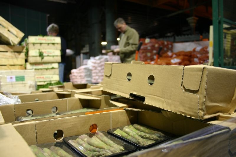 Walking by the asparagus