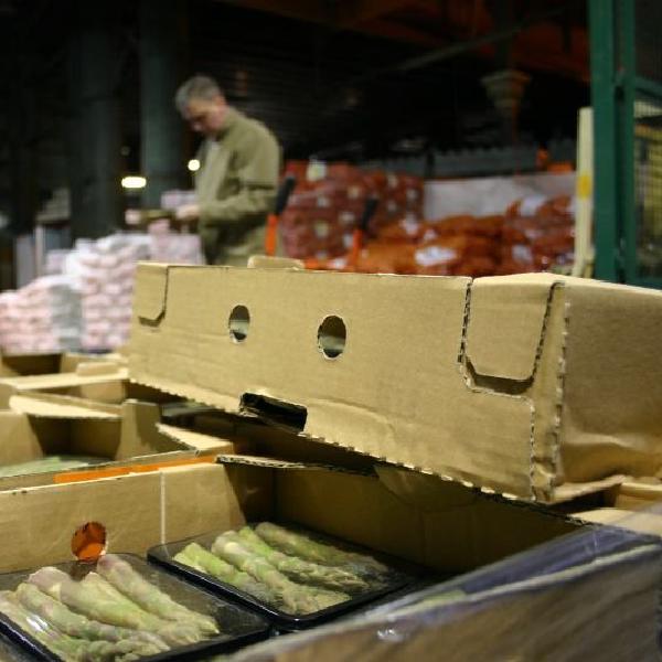 Walking by the asparagus