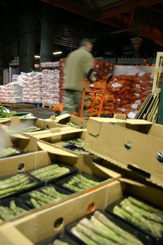 Walking by the asparagus