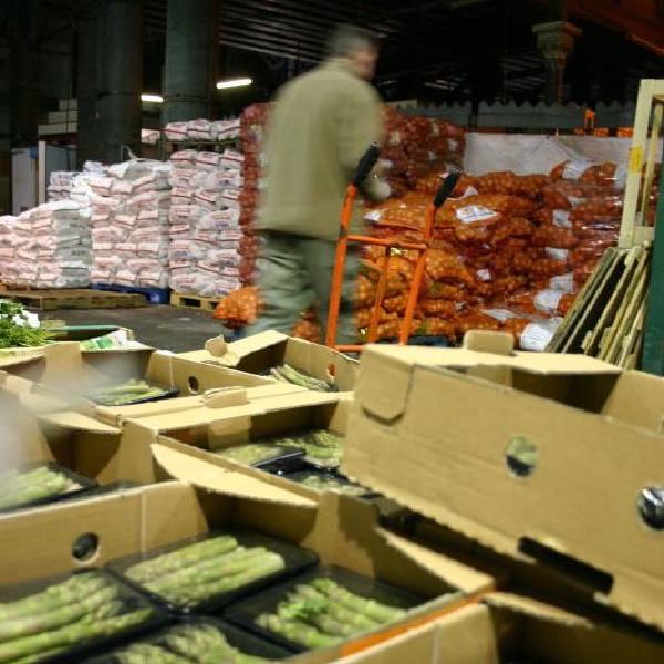 Walking by the asparagus