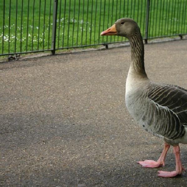 What are you looking at?