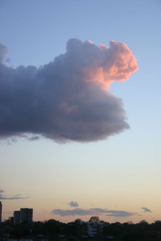 What can you see?