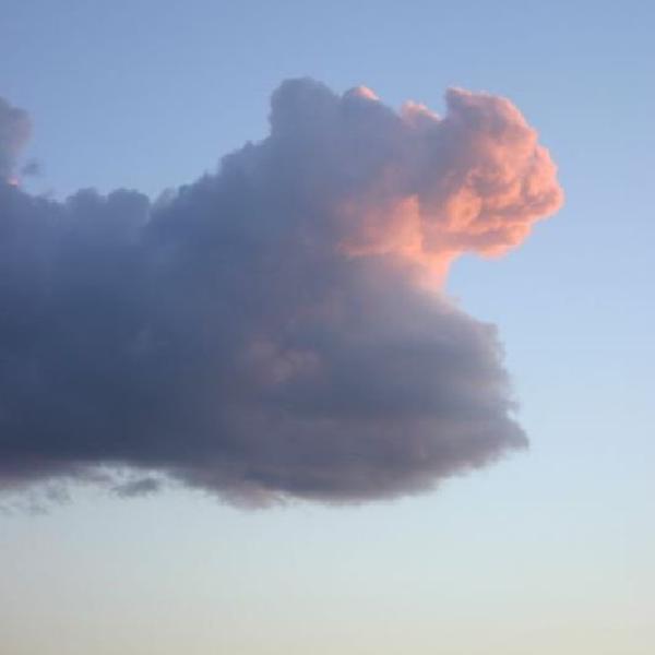 What can you see?