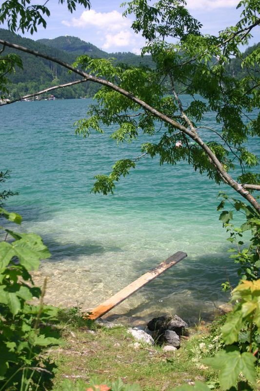 Diving board