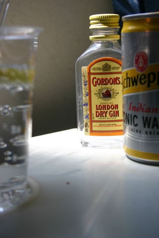 Gin and Tonic