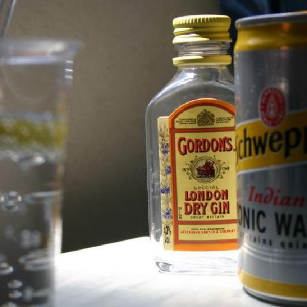Gin and Tonic