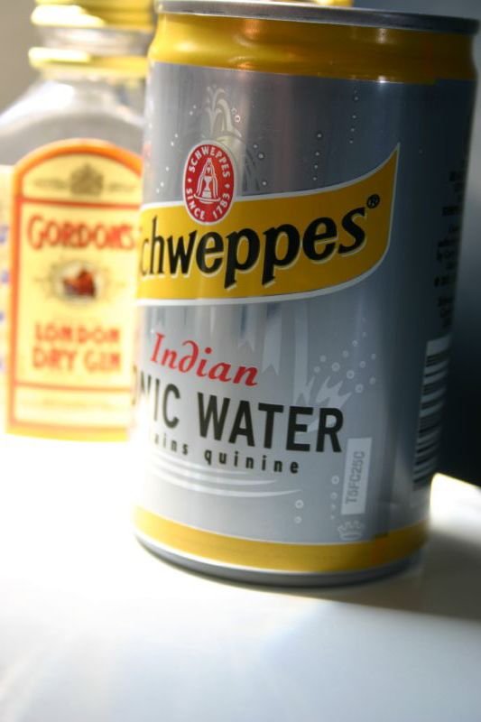 Gin and Tonic