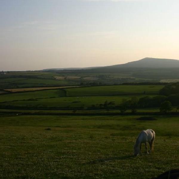 Grazing