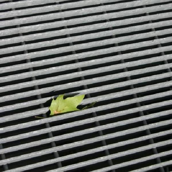 Leaf, trapped