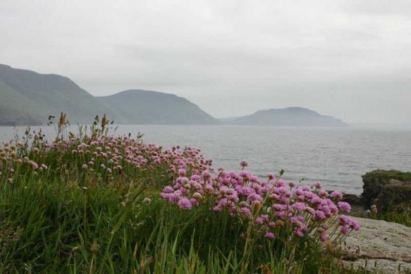 Manx coastline