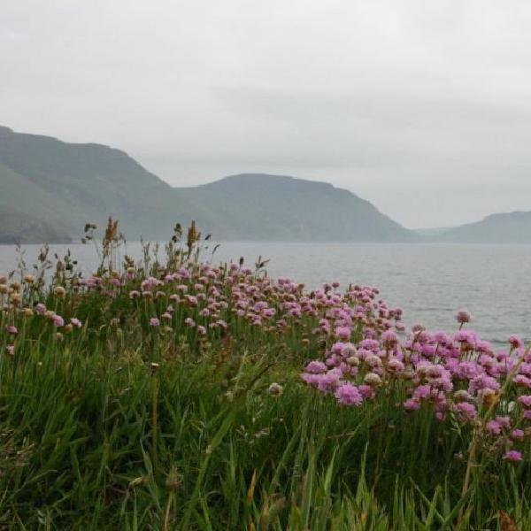 Manx coastline