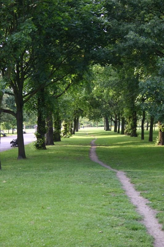 Pathway in the park