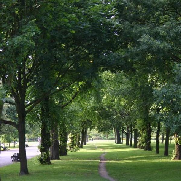 Pathway in the park