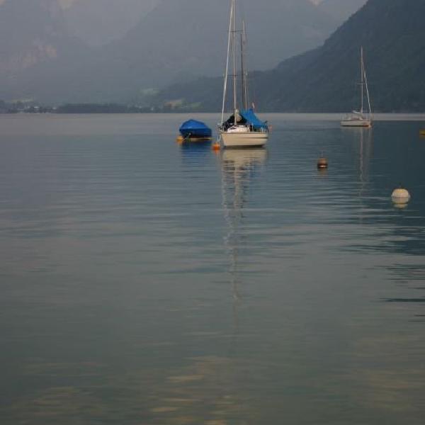 Serenity