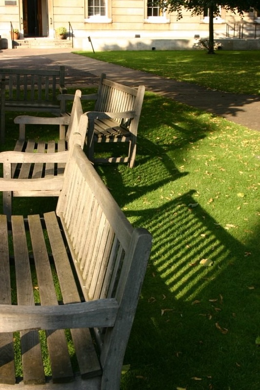 Benches at UCL