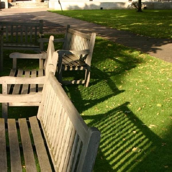 Benches at UCL