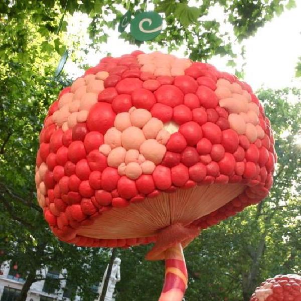 Giant candy