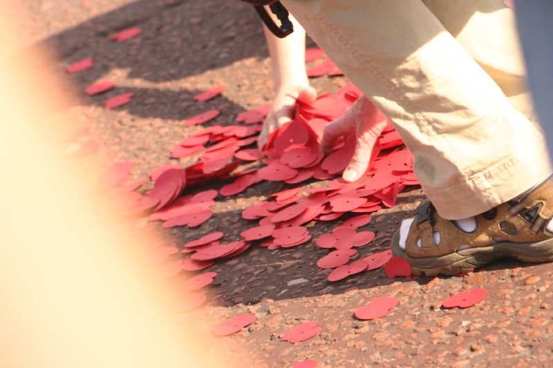 Grabbing for a poppy