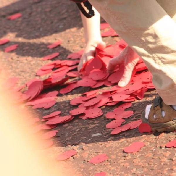 Grabbing for a poppy