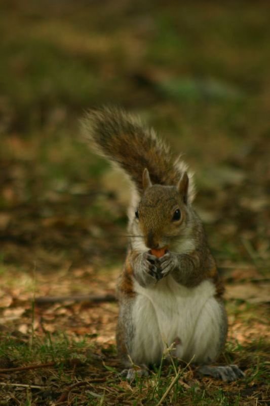 Nibble nibble