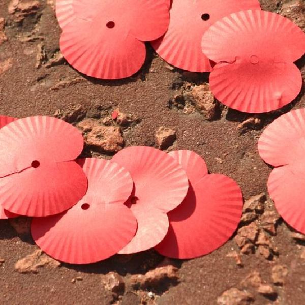 Poppies