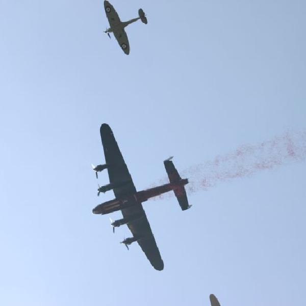 Poppy drop