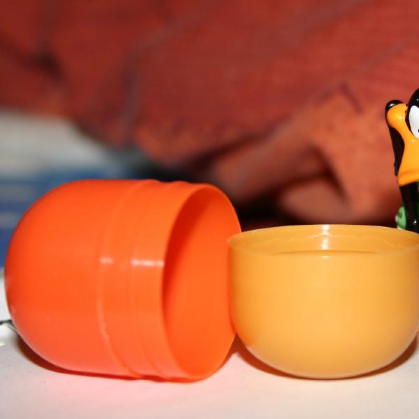 Daffy comes out of his shell