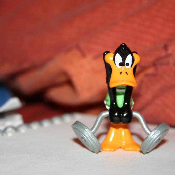 Daffy lifts weights
