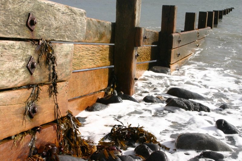 Attracting the seaweed