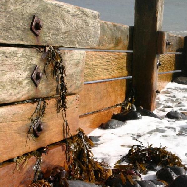 Attracting the seaweed