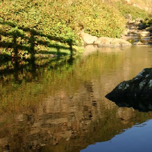 Bridge into the river