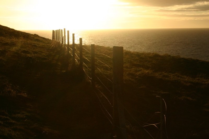 Into the sun