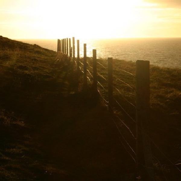 Into the sun