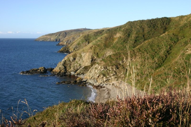 Looking North