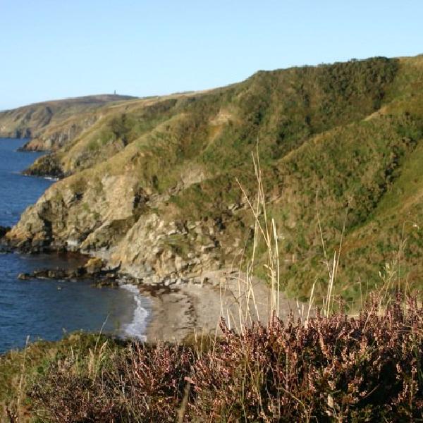 Looking North