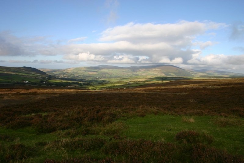 Manx meadows