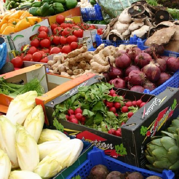 Masses of veg
