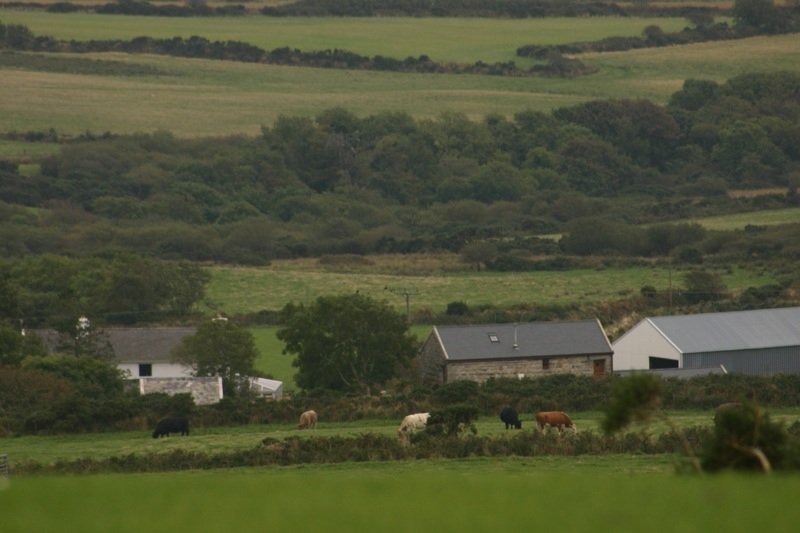 Farming in the countryside