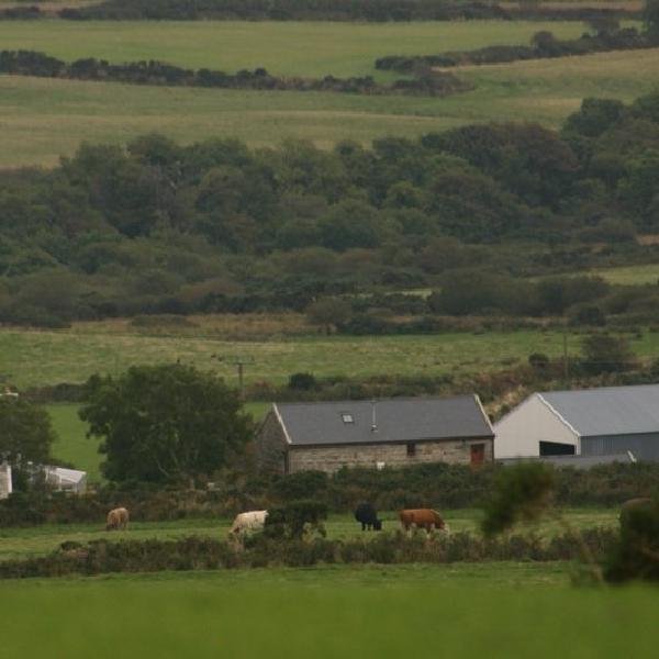 Farming in the countryside