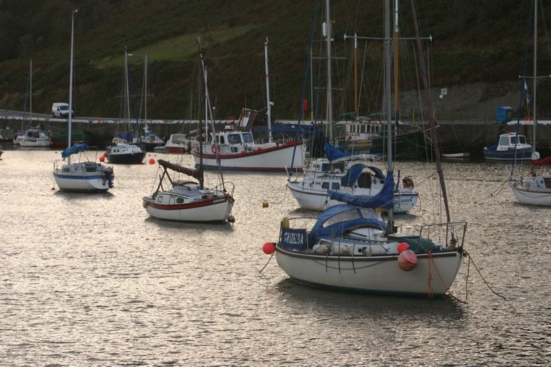 In the harbour