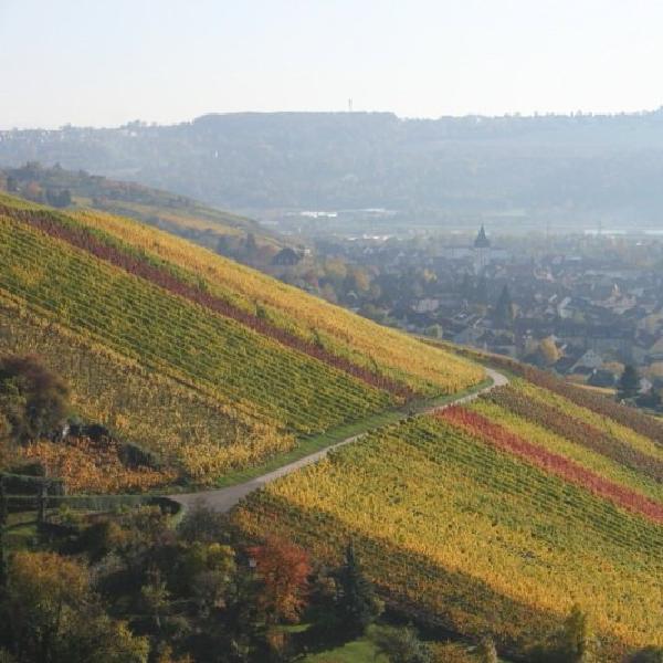 Into Esslingen