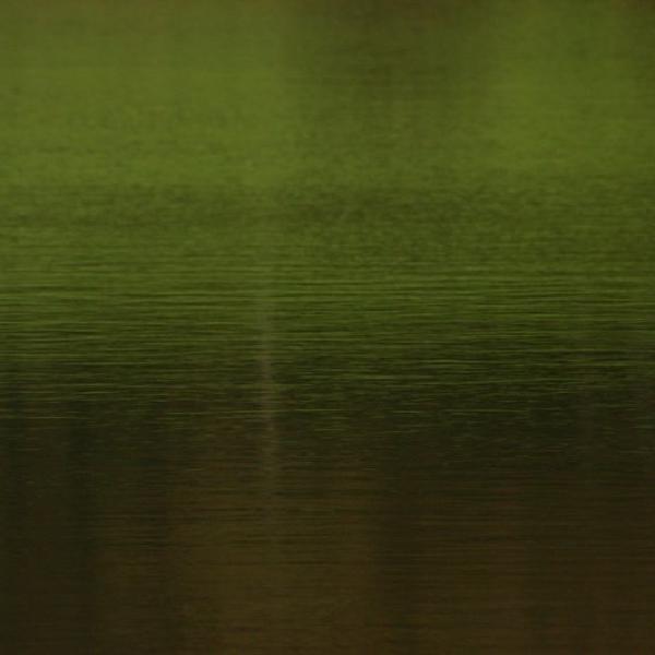 Ripples
