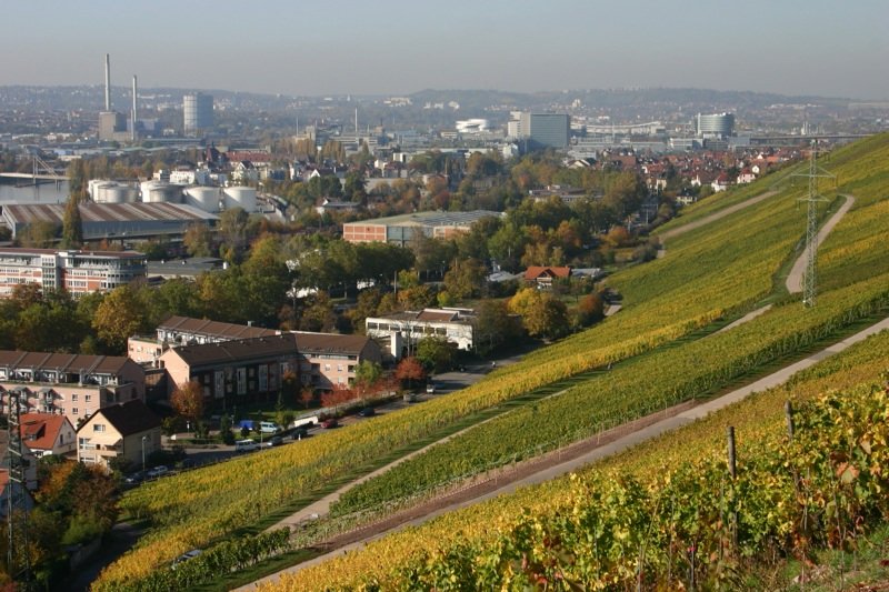 Through the wine and into the city