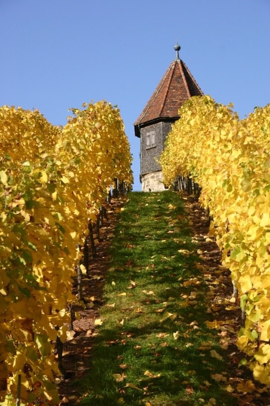 Top of the hill